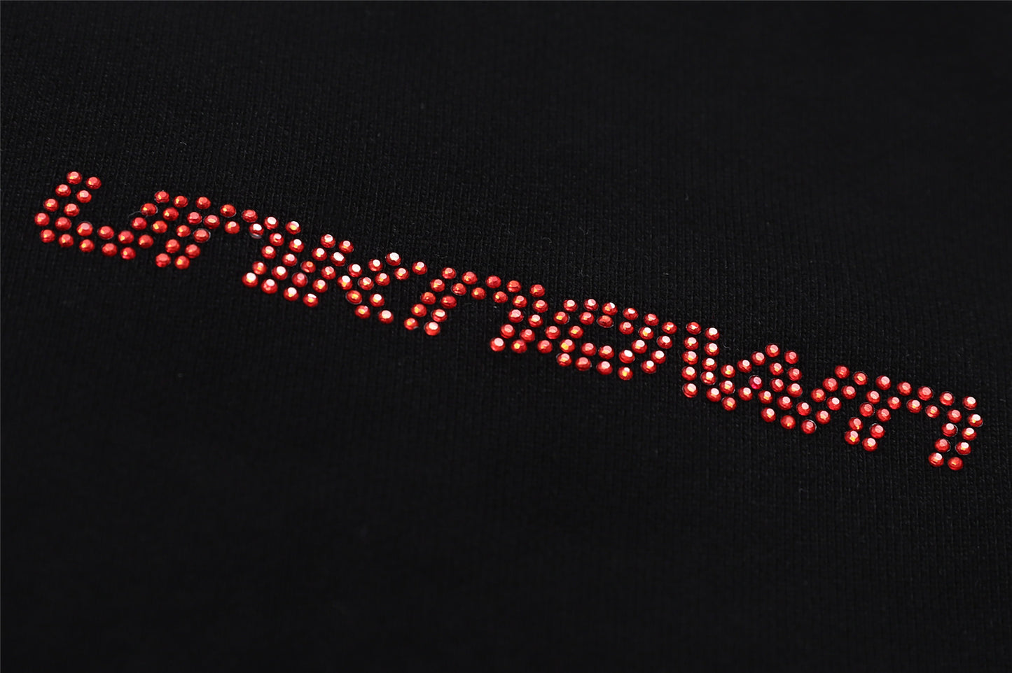 SAMPLE Rhinestone Ribcage Hoodie